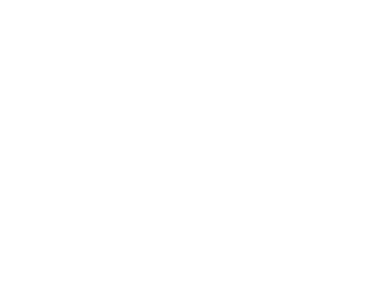 vipslogo